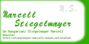 marcell stiegelmayer business card